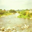 River Scene, Loire Valley